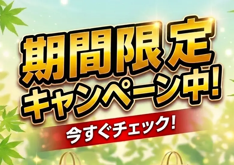 お買い得工事パックSALE開催！